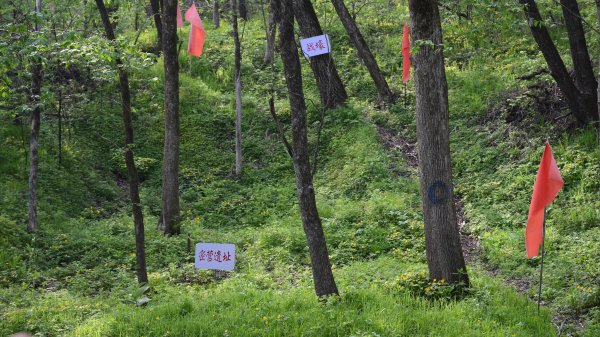 在线配资软件 铭记历史 缅怀先烈|白山黑水见证：从烽火硝烟到振兴热土的巨变