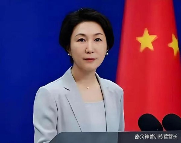 在线配资软件 巴拿马港口案有何新动向 中远强势求组队