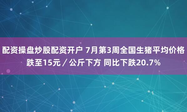 配资操盘炒股配资开户 7月第3周全国生猪平均价格跌至15元／公斤下方 同比下跌20.7%