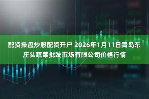 配资操盘炒股配资开户 2026年1月11日青岛东庄头蔬菜批发市场有限公司价格行情