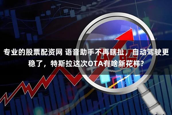 专业的股票配资网 语音助手不再瞎扯，自动驾驶更稳了，特斯拉这次OTA有啥新花样?
